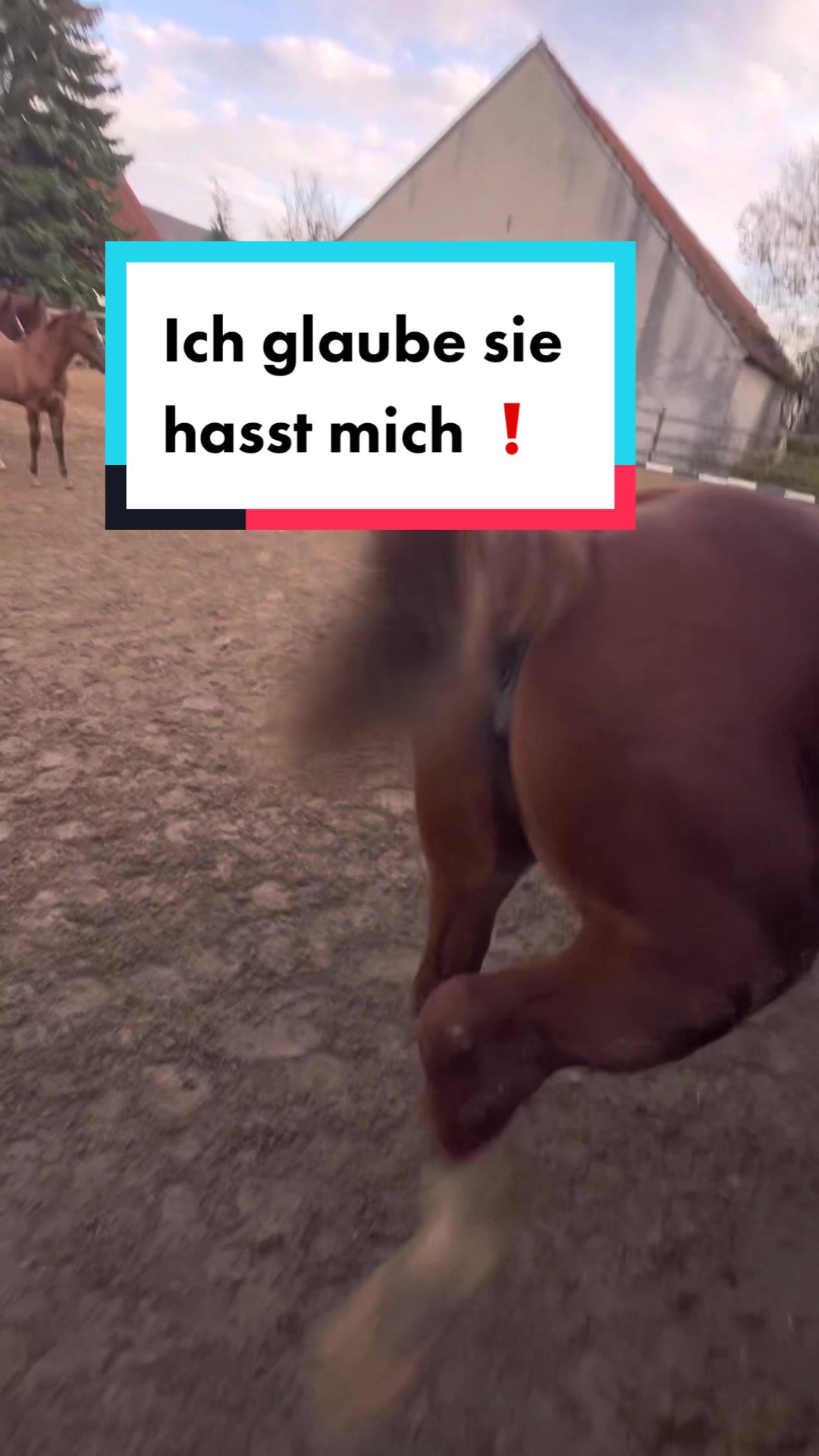 @🤠 Cowboy.HDH