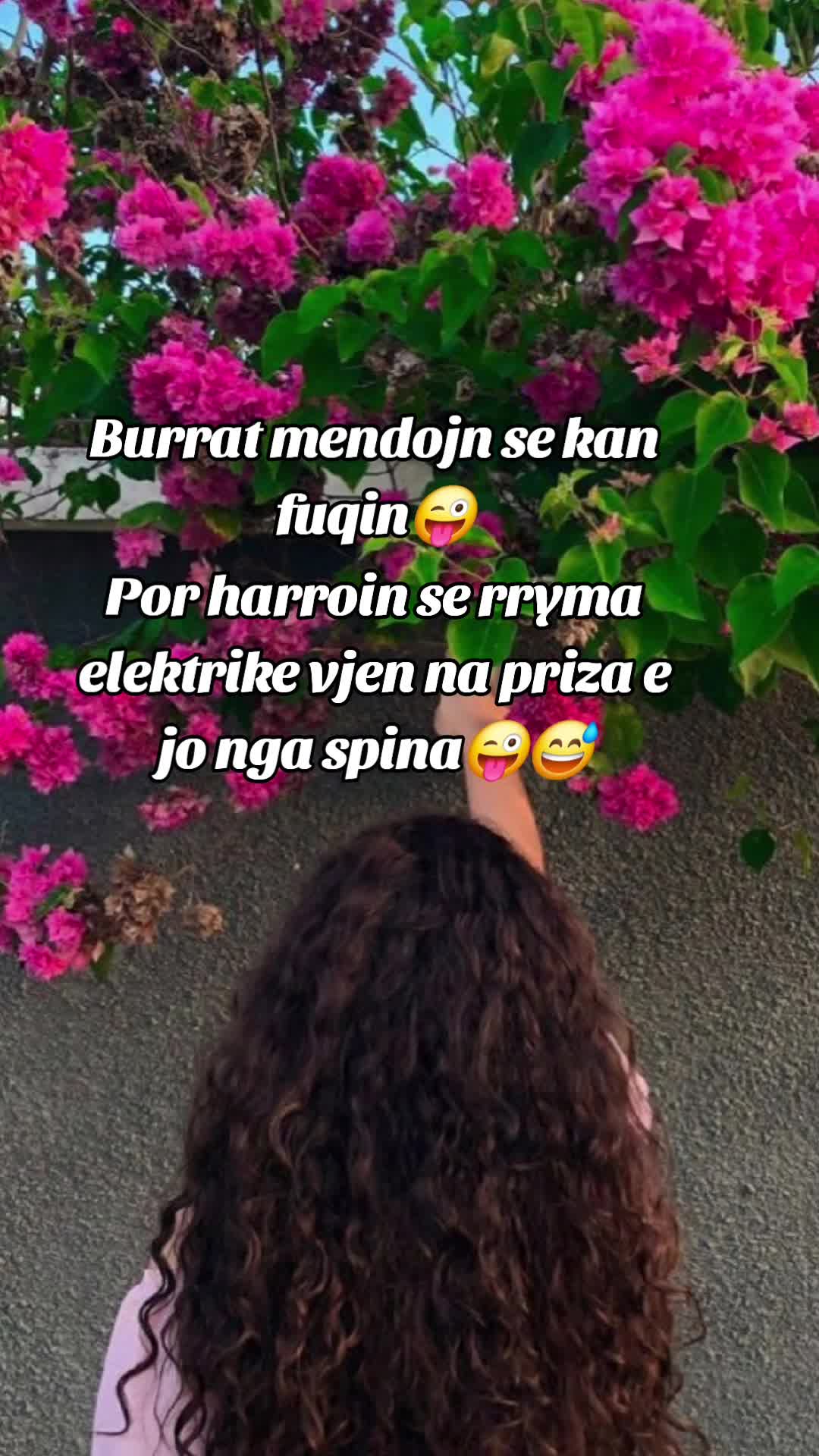 @🦁Luanesha🦁