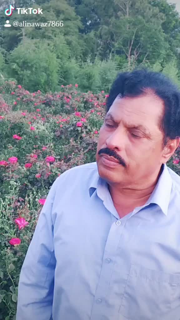 @alinawaz 7866