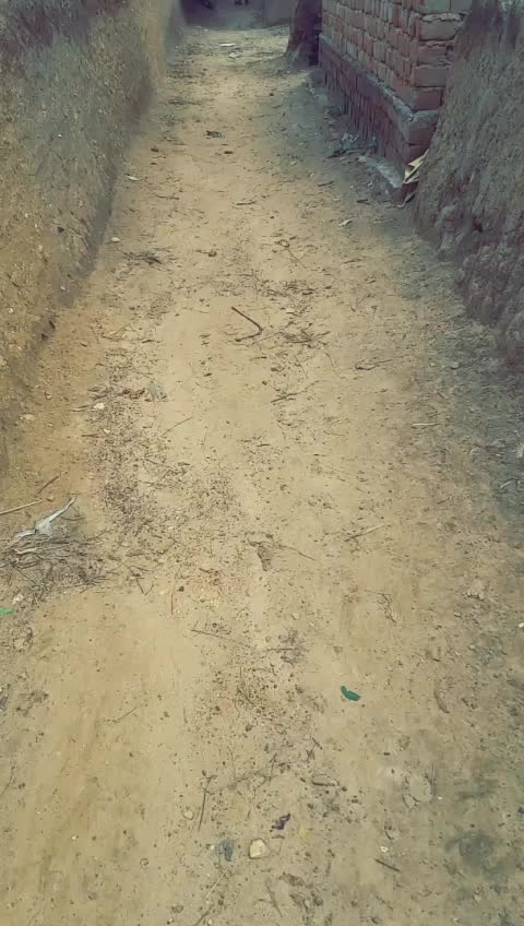 @Kusum Oraun