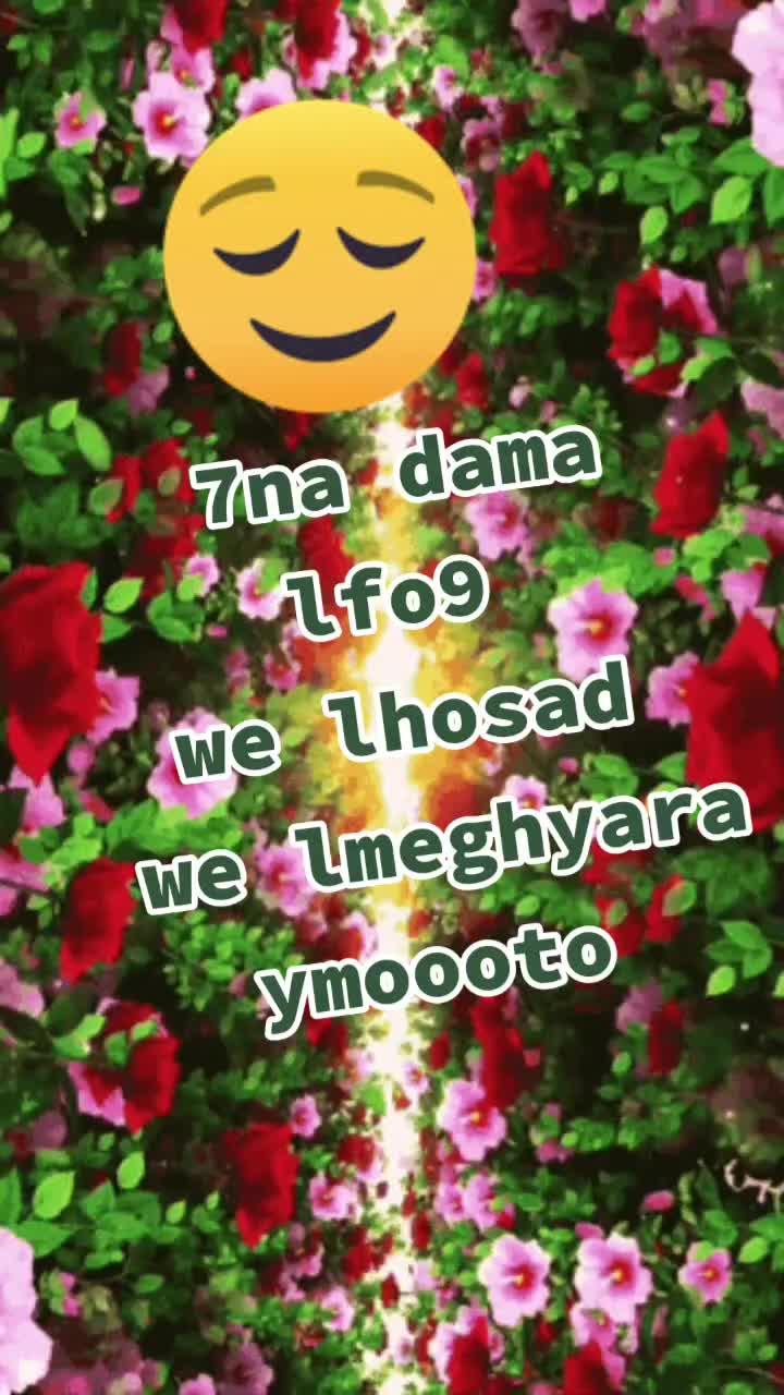 @Amira๐ธ๐ป๐ธ๐ป