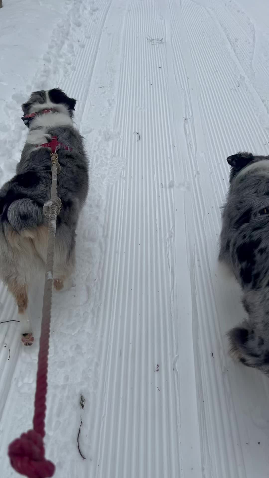 @seeingdoublemerle