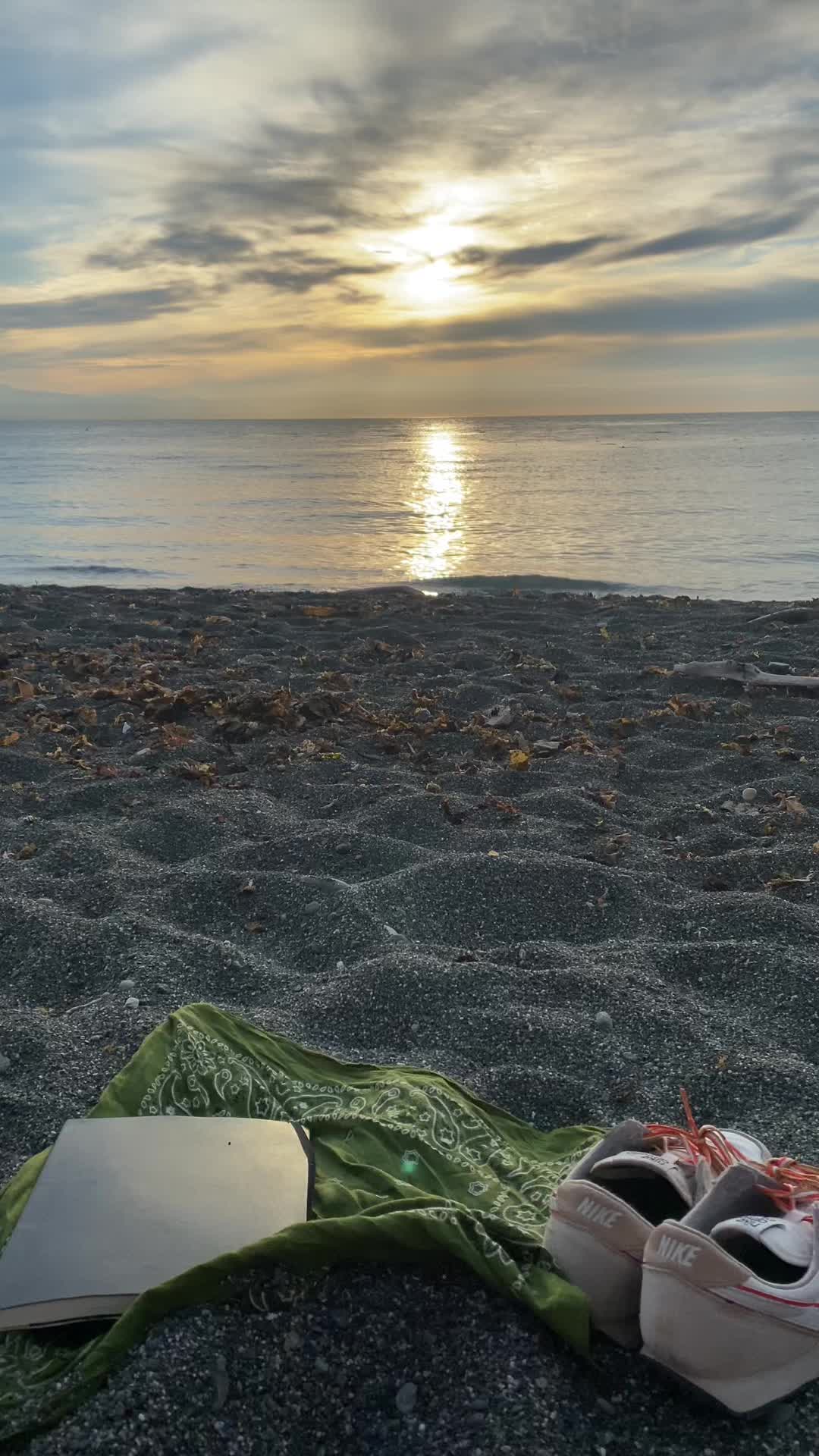 @Daybreak Seaweed