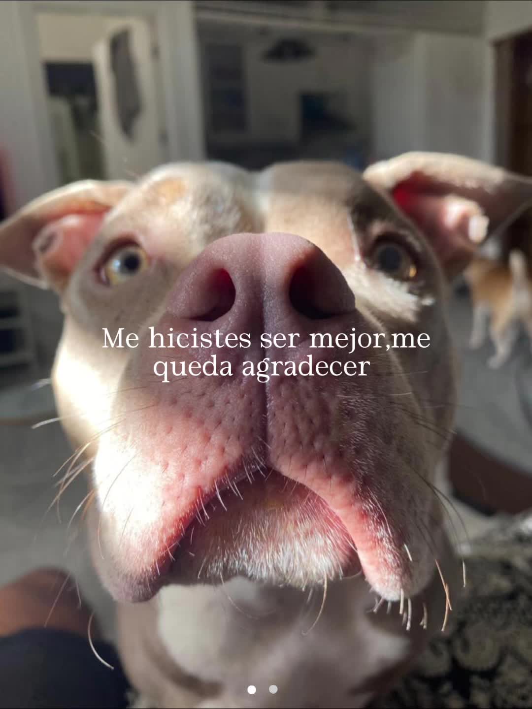 @Ainhoa Lujan Hogenkamp