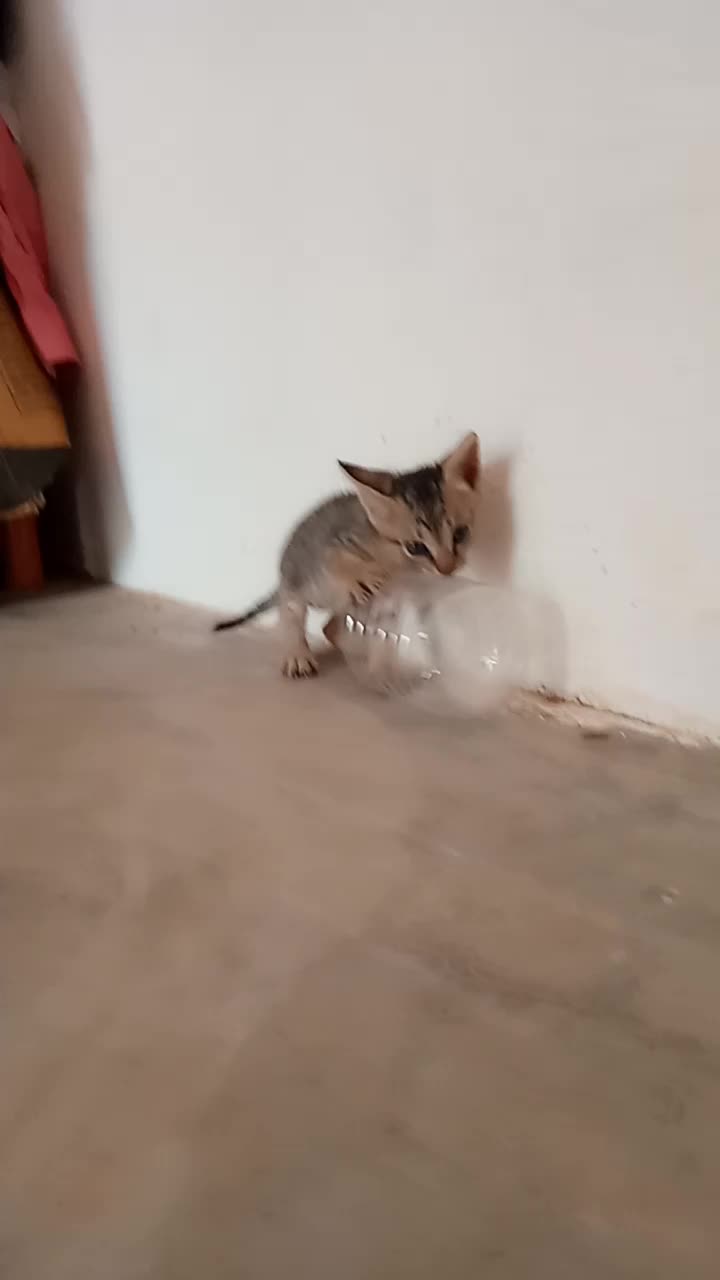@M.muniraja