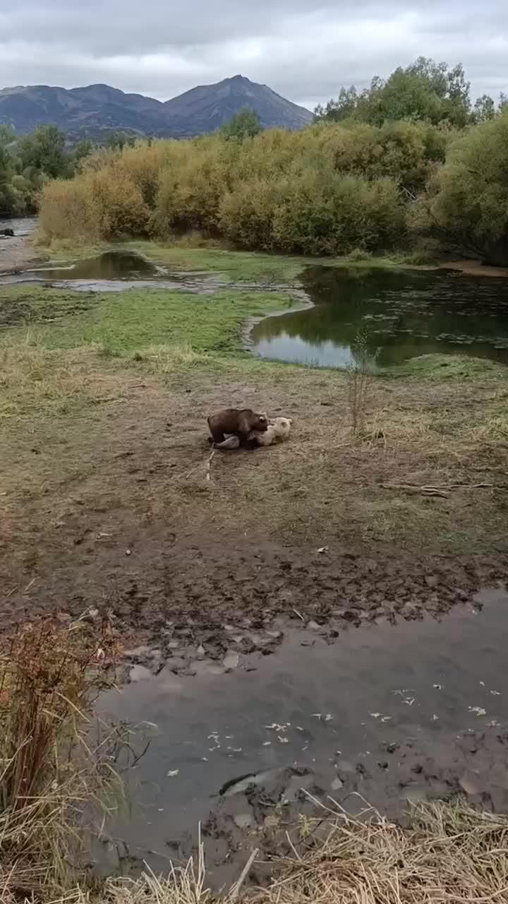 @Не повторять !!!