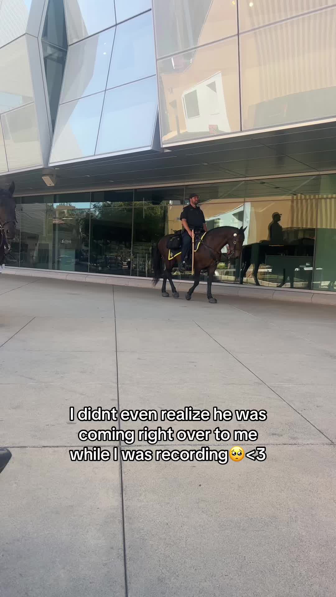 @angel-ina