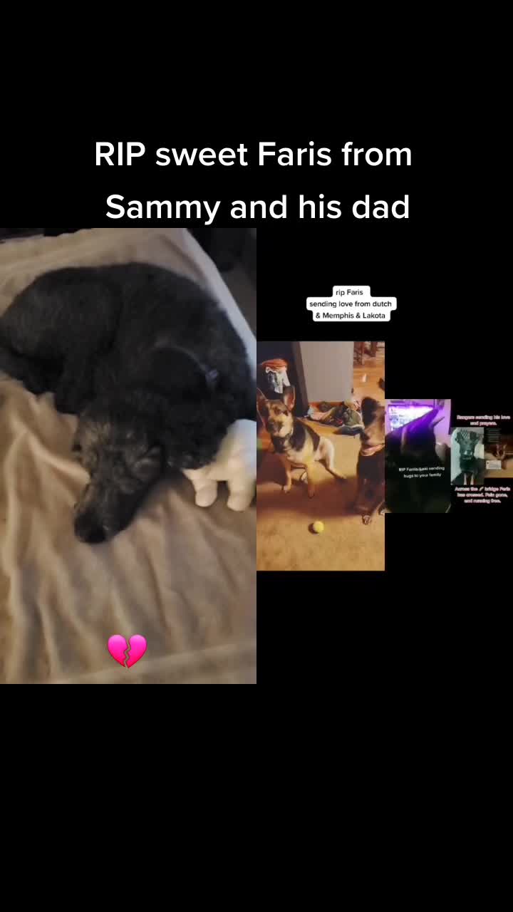 @SammyDoodle🙂