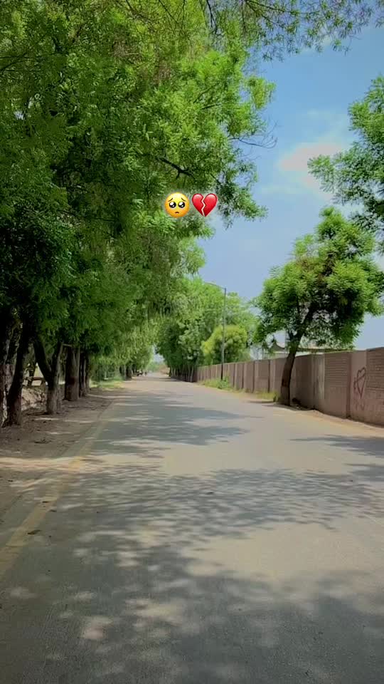 @Aamir Samoo