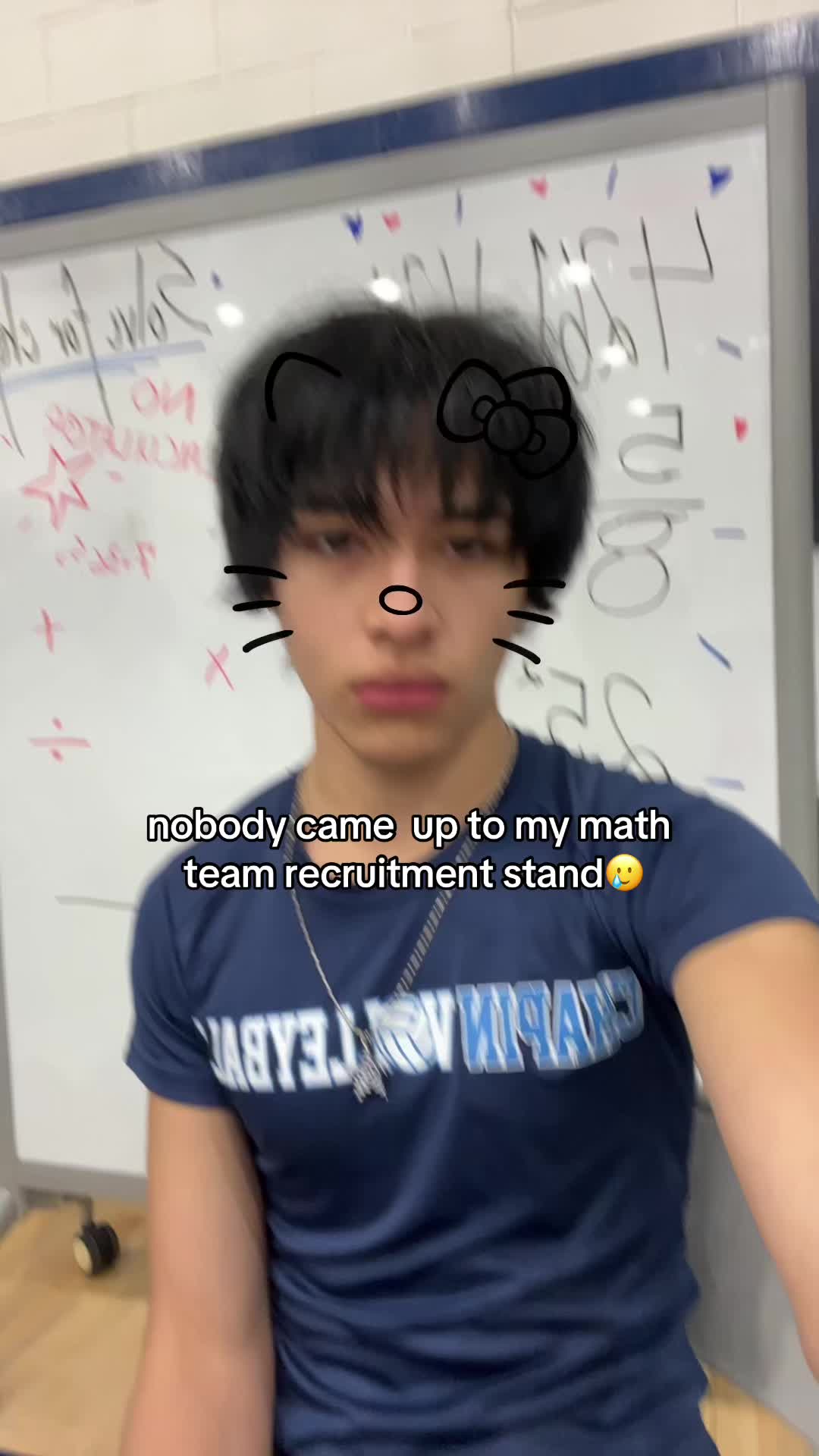 @catbed1