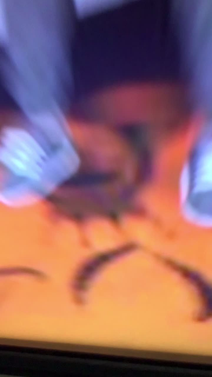 @๐ฝ๐ท๐๐๐ ๐คโค