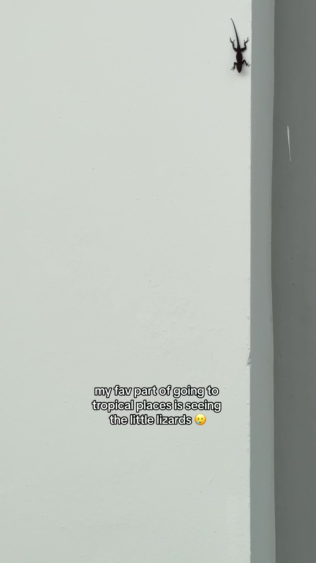 @faith𓆈🌱
