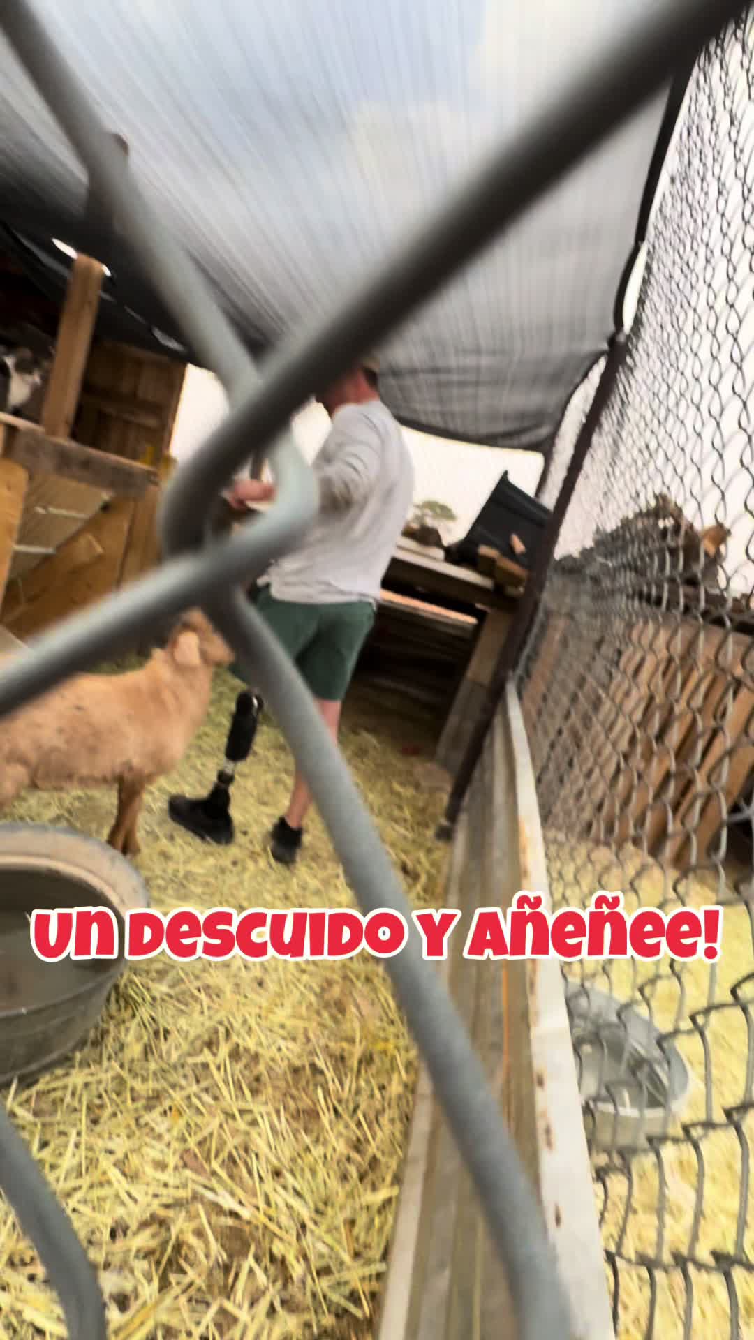 @El BI&Oacute;NICO