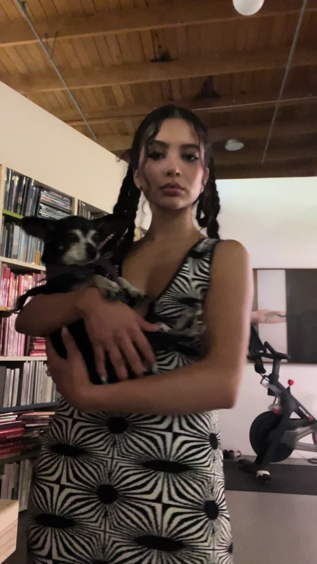 @stephi