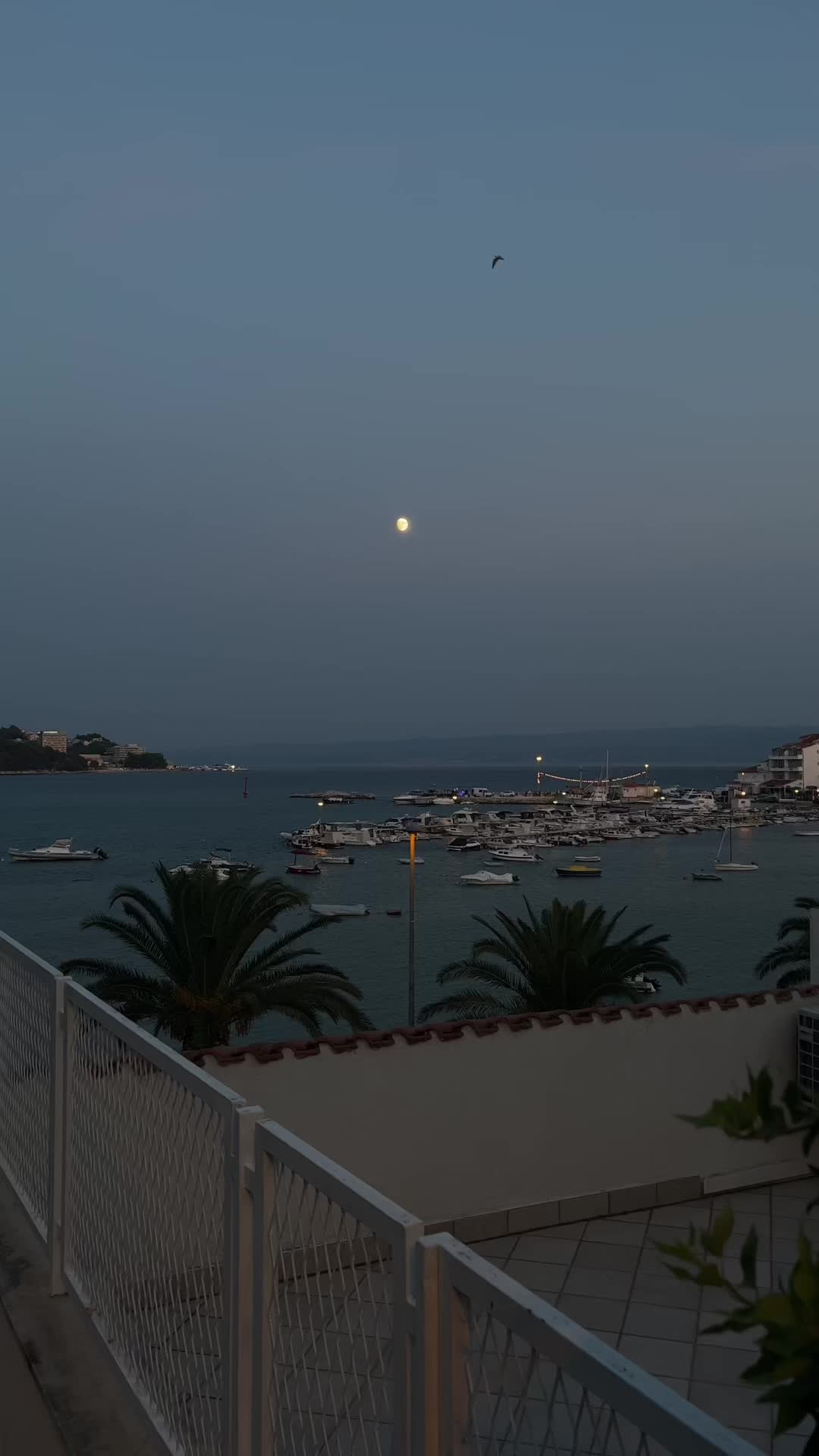 @Ivan 🇭🇷✞