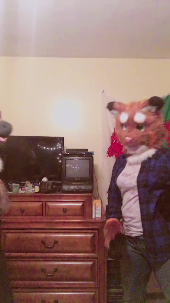 @Twix the Cat