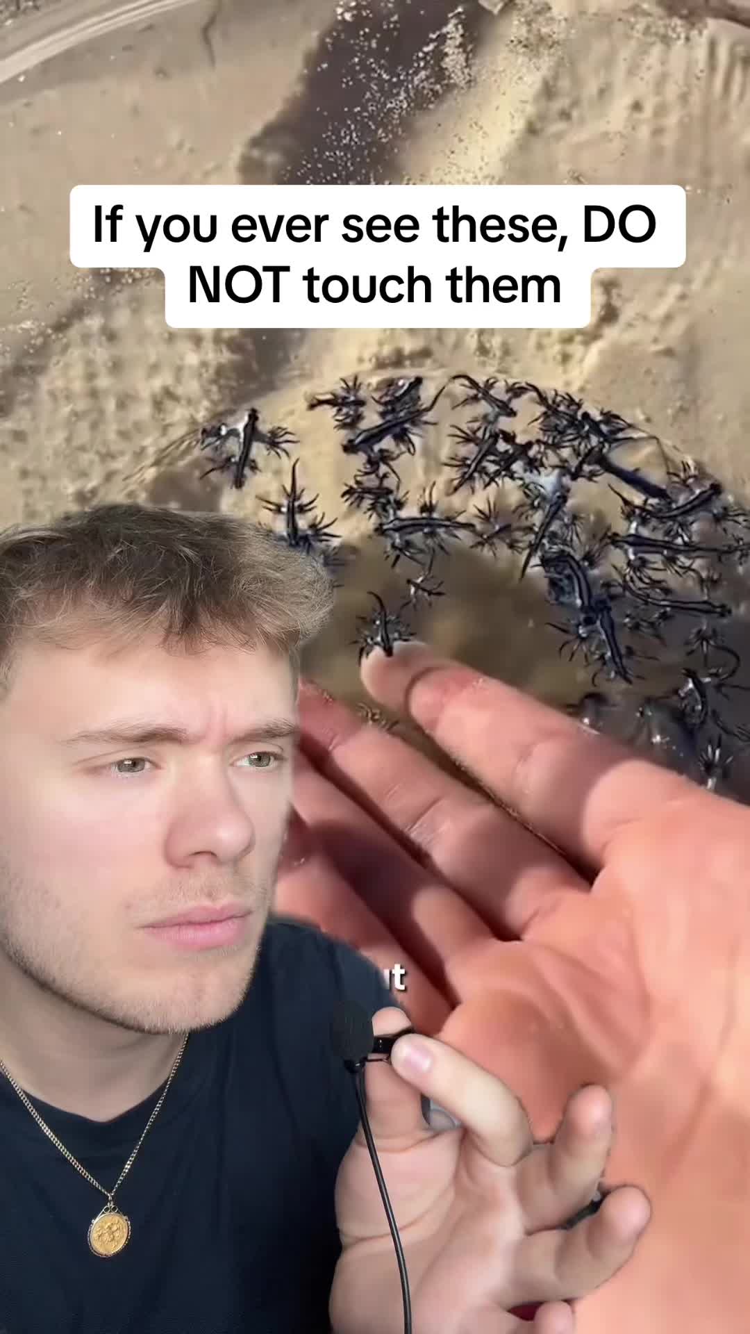 @MjcMatthew