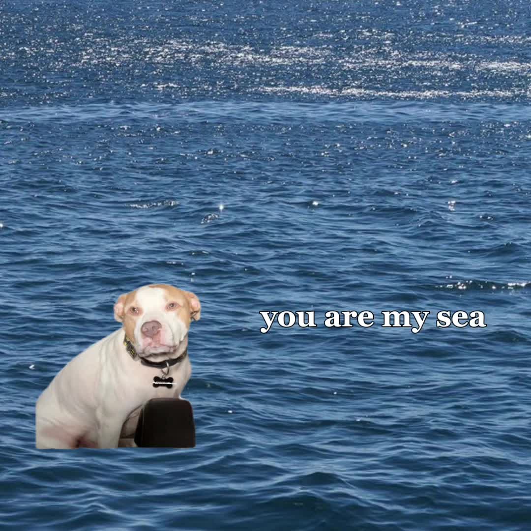 @Mi♌️