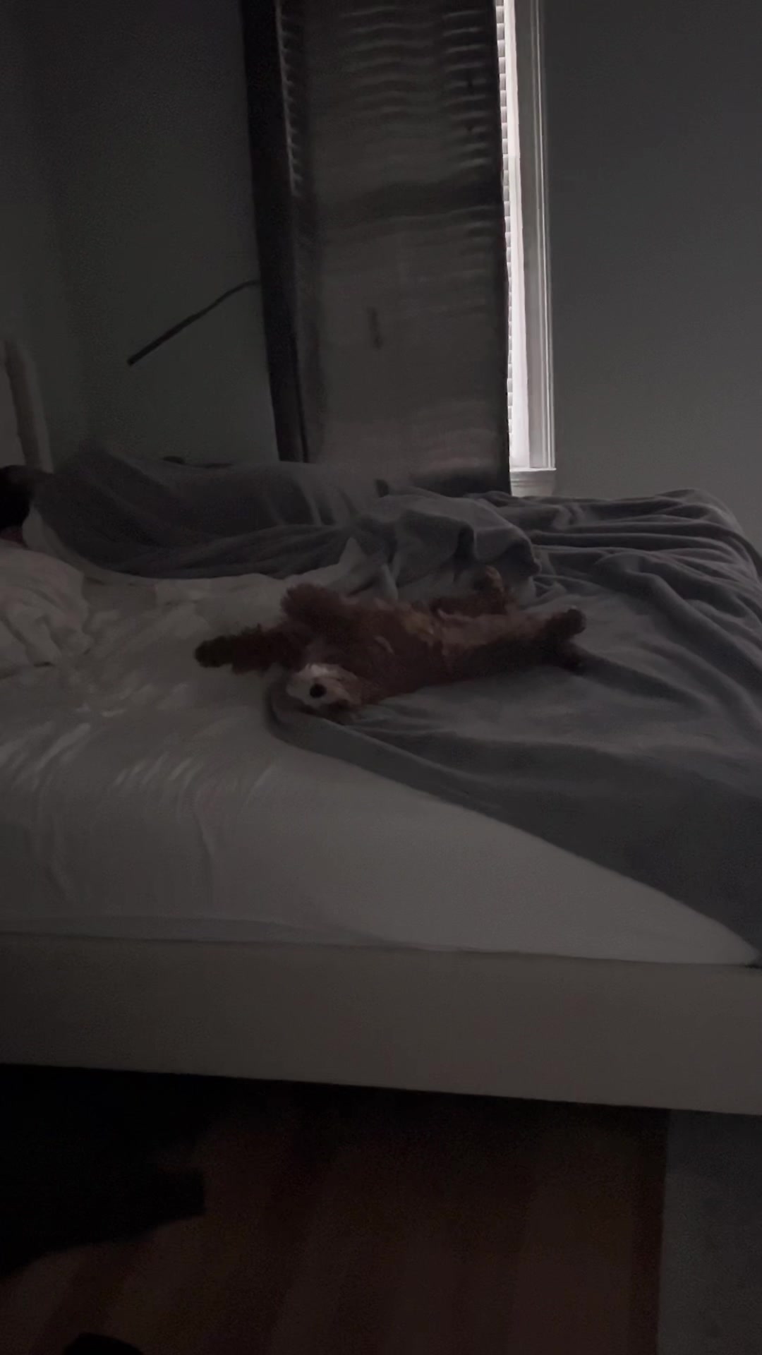 @Teddy
