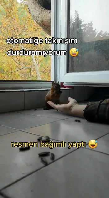 @Alya
