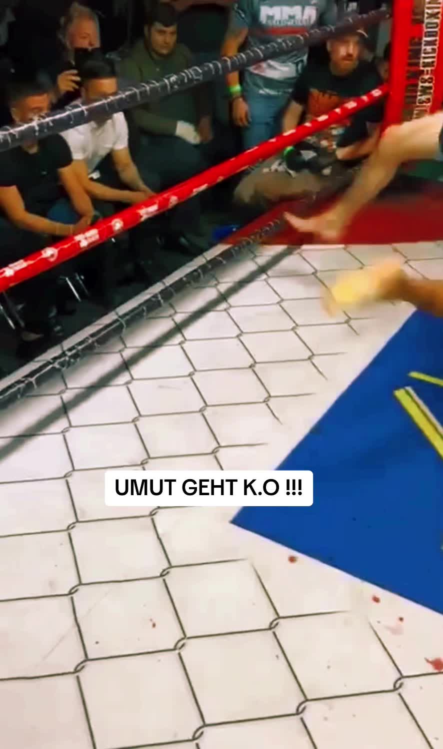 @Lulutza Ro