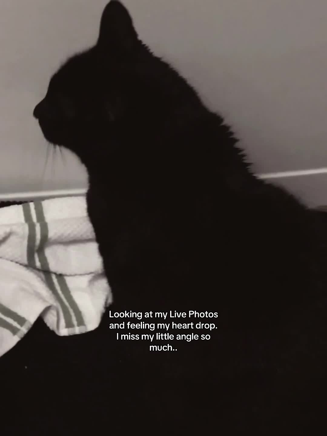 @Sleepy_person
