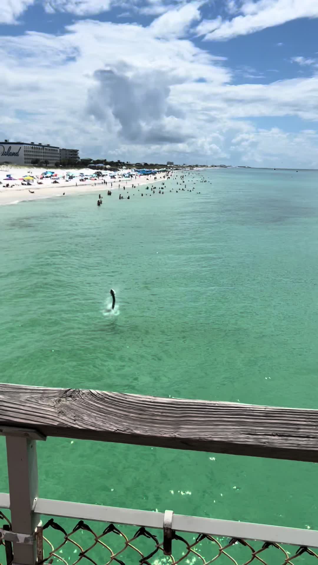 @OkaloosaIslandPier