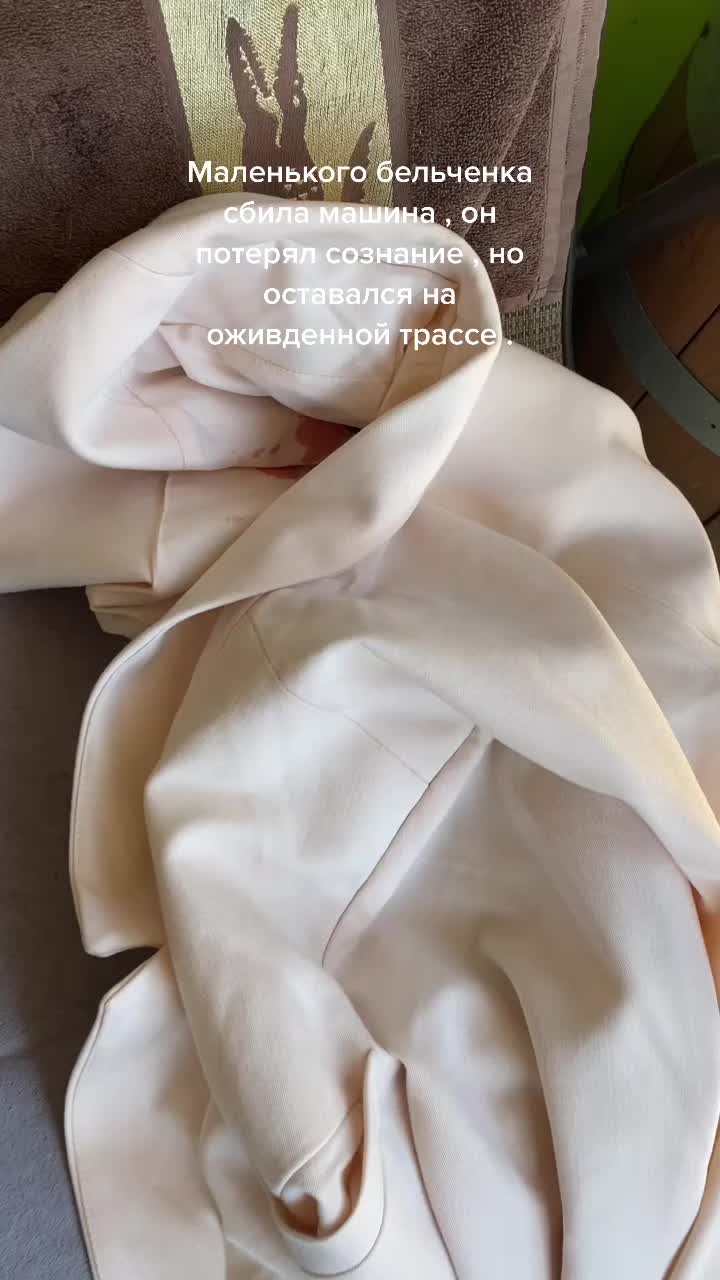 @Аэлита Баширова