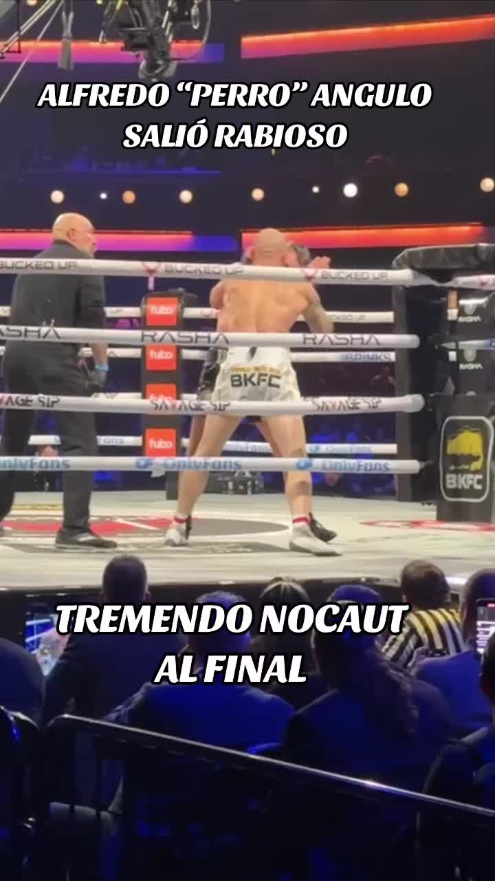 @javirenovatotv