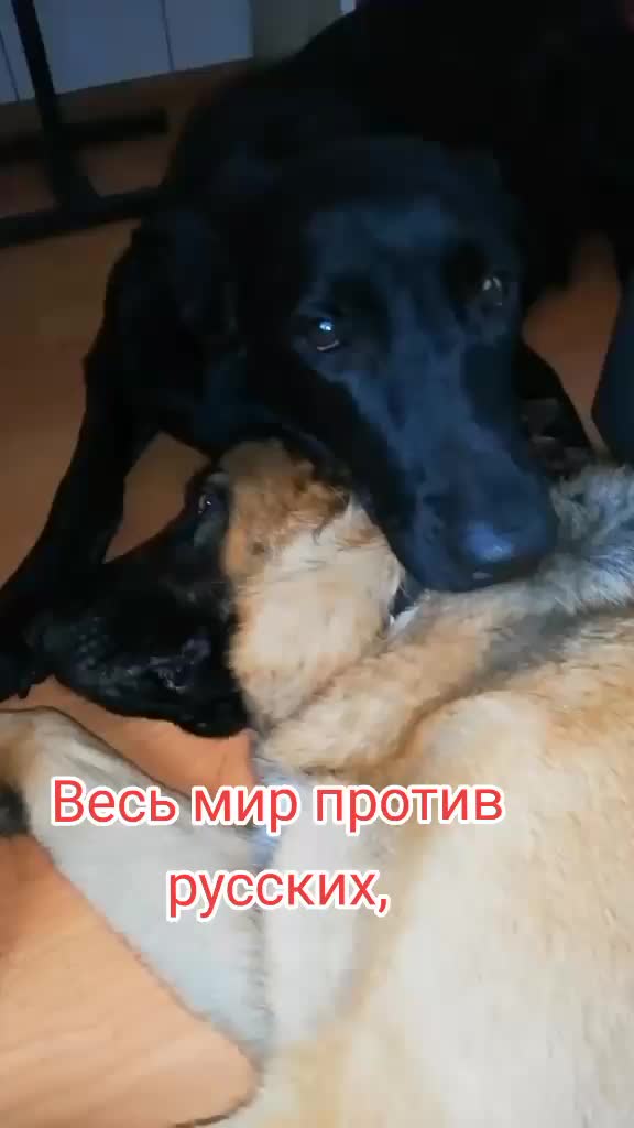 @Irinagerasimova
