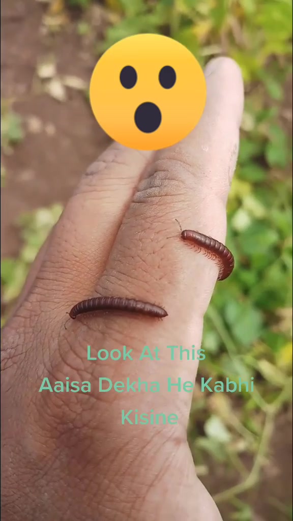 @sachin chavan