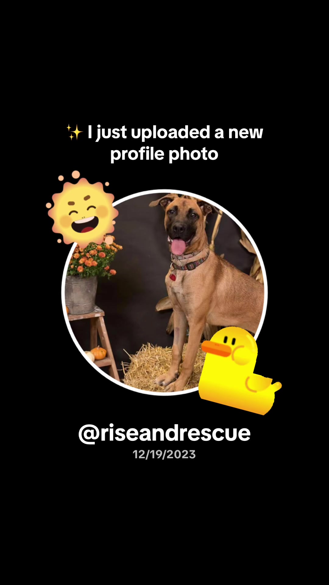@riseandrescue