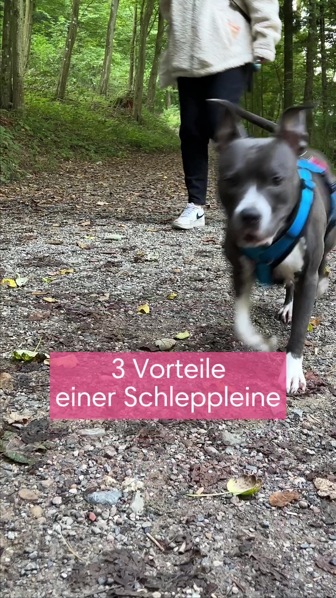 @diefutterbar