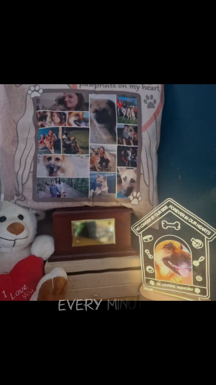 @catrin 02/09/24🕊️