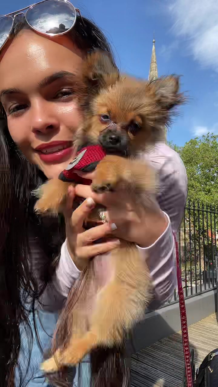 @lousha.liddell