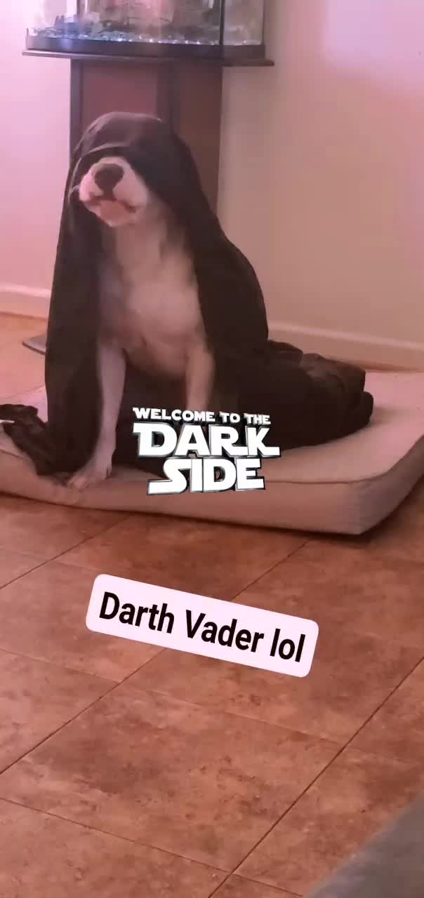 @Jc585