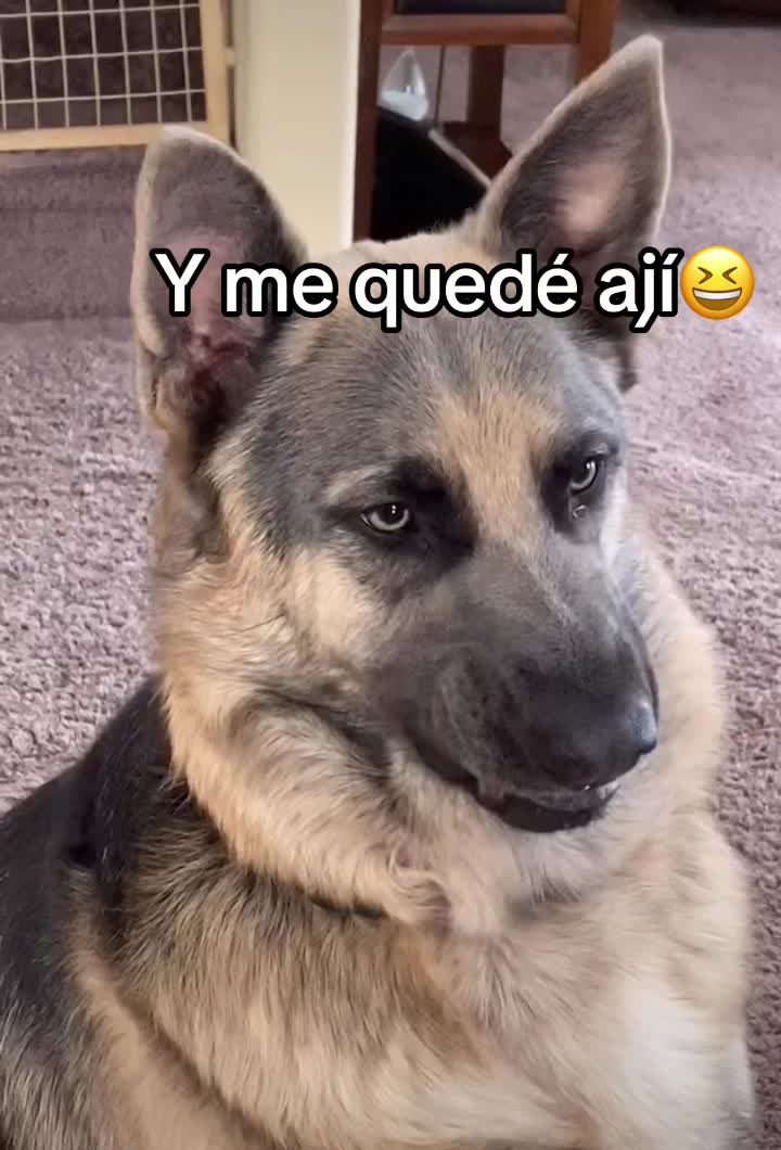 @Roccocopuff