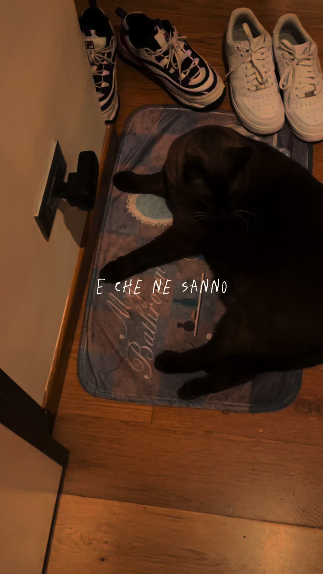 @Linda Cazzola