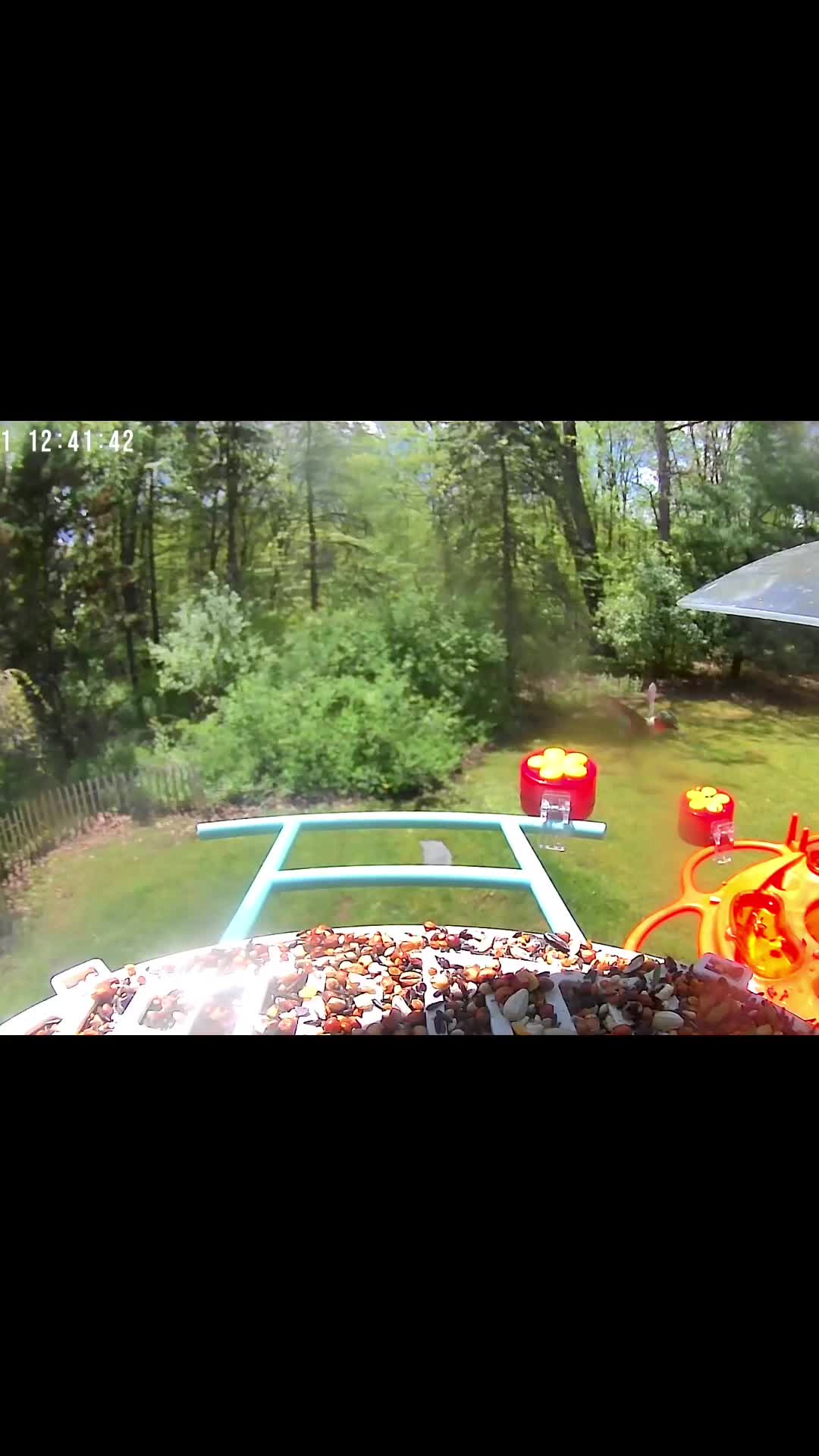 @Bird feeder Cam