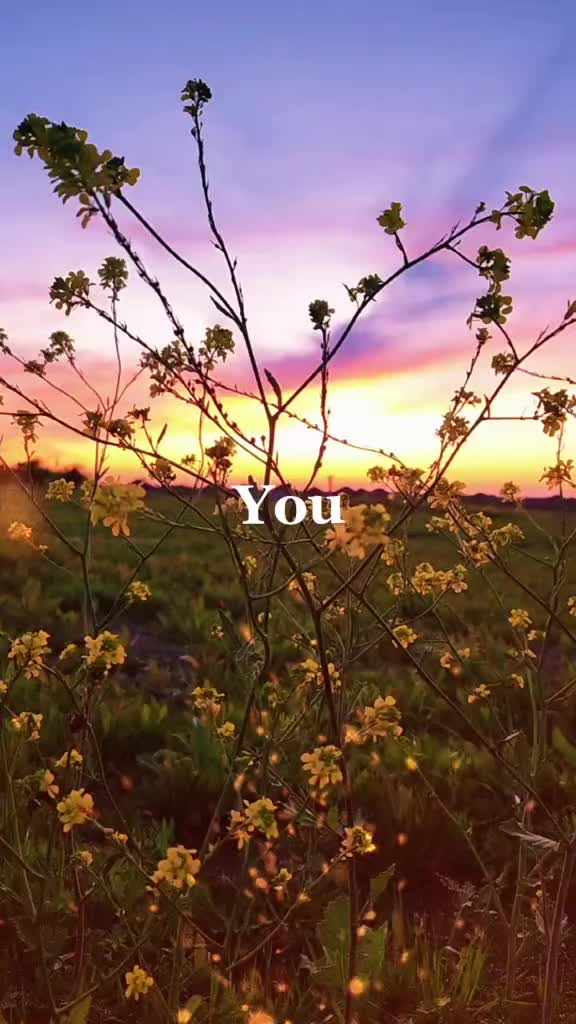 @Last Chapter