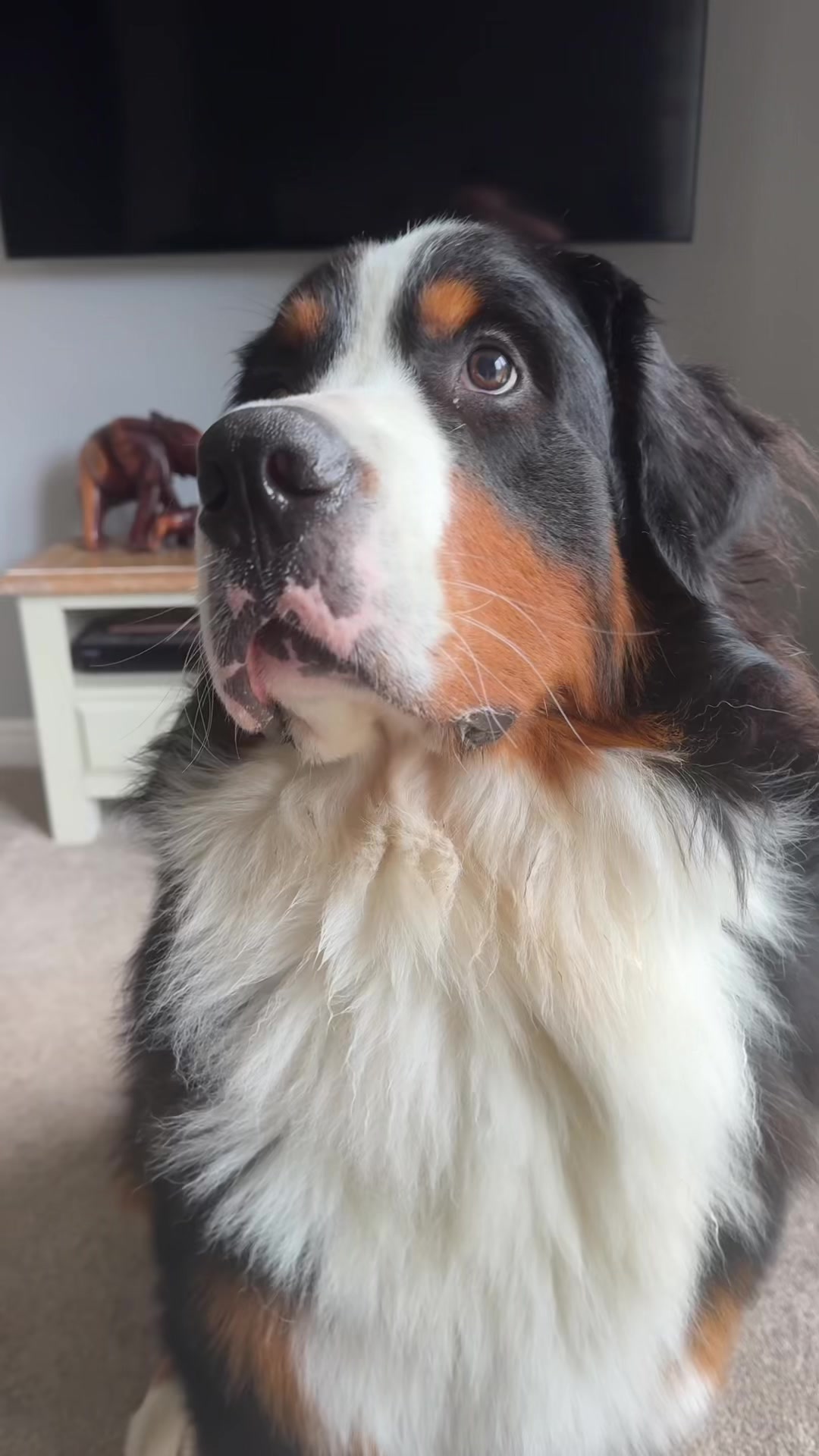 @GorgeousGeorge