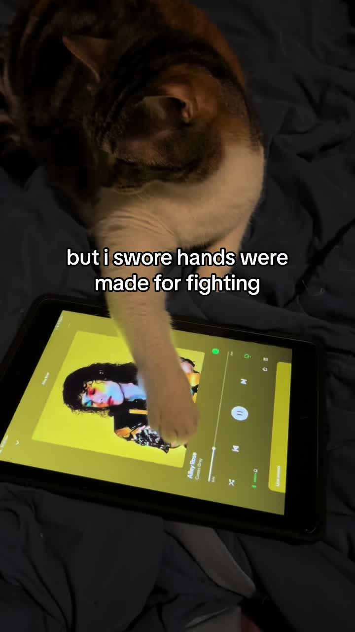 @clara