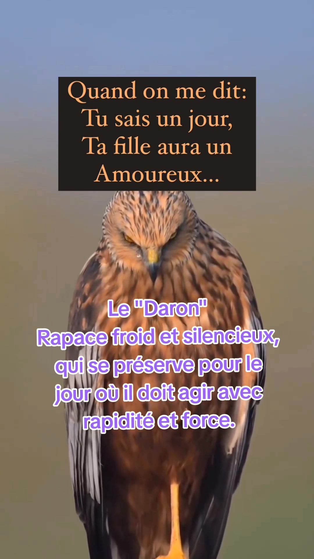 @numidia🥀ⵣ