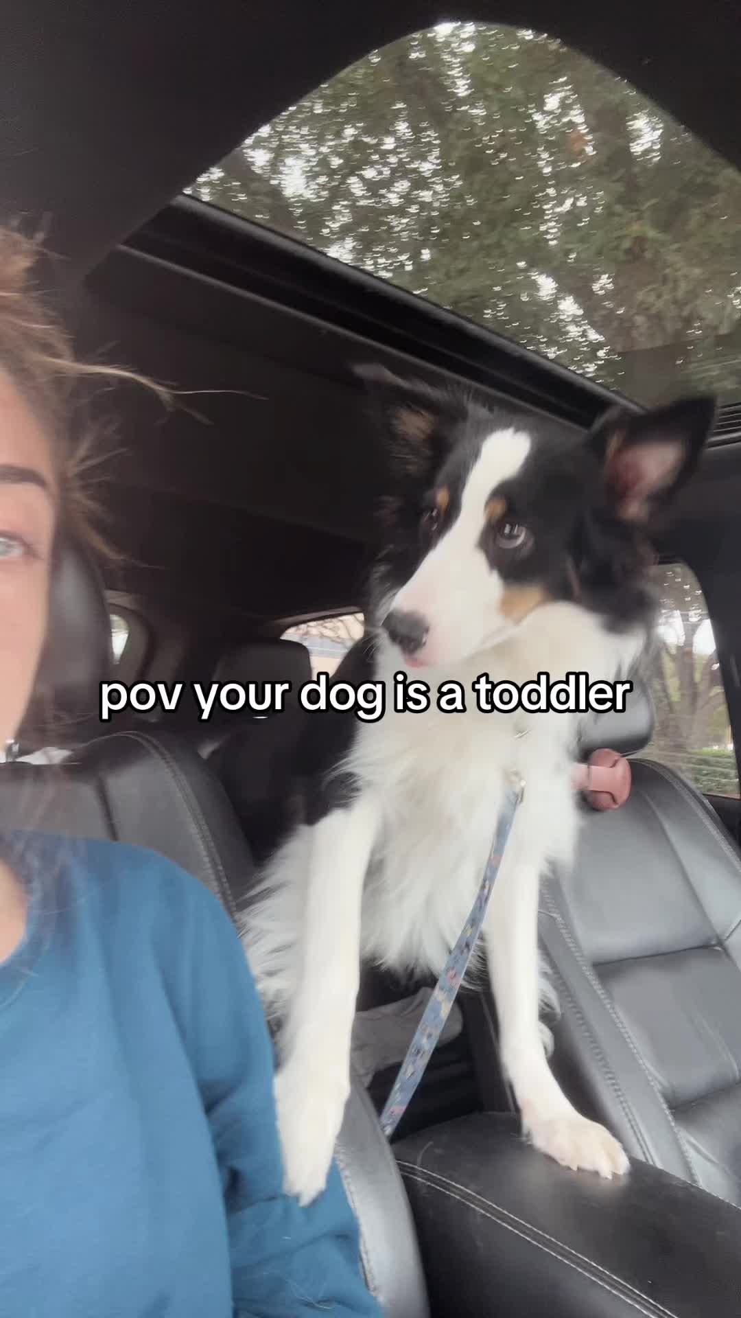 @sydneyspezzano