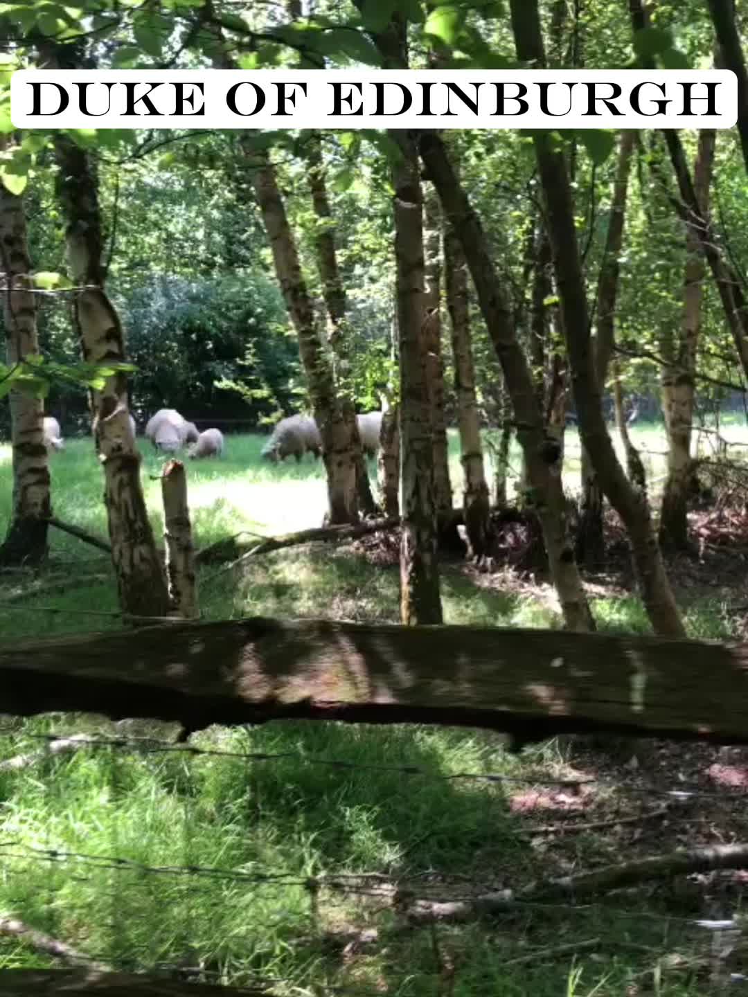 @ben willbond biter 🎢