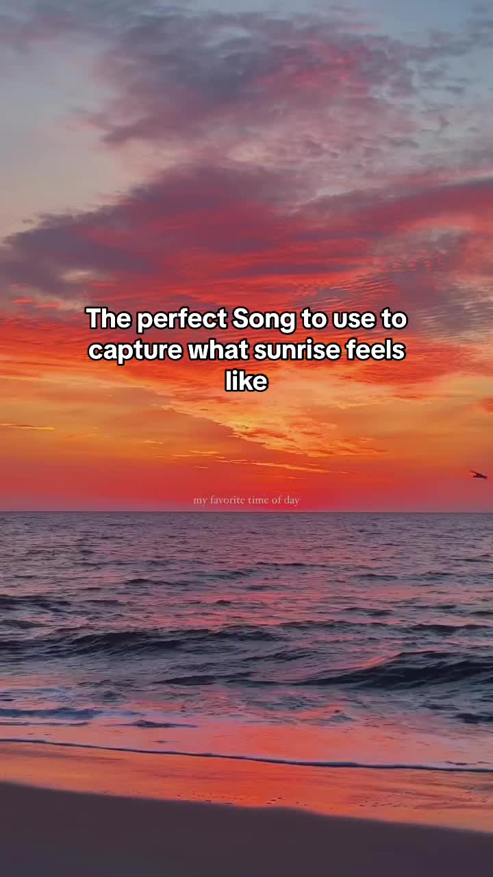 @Nature+Lofi