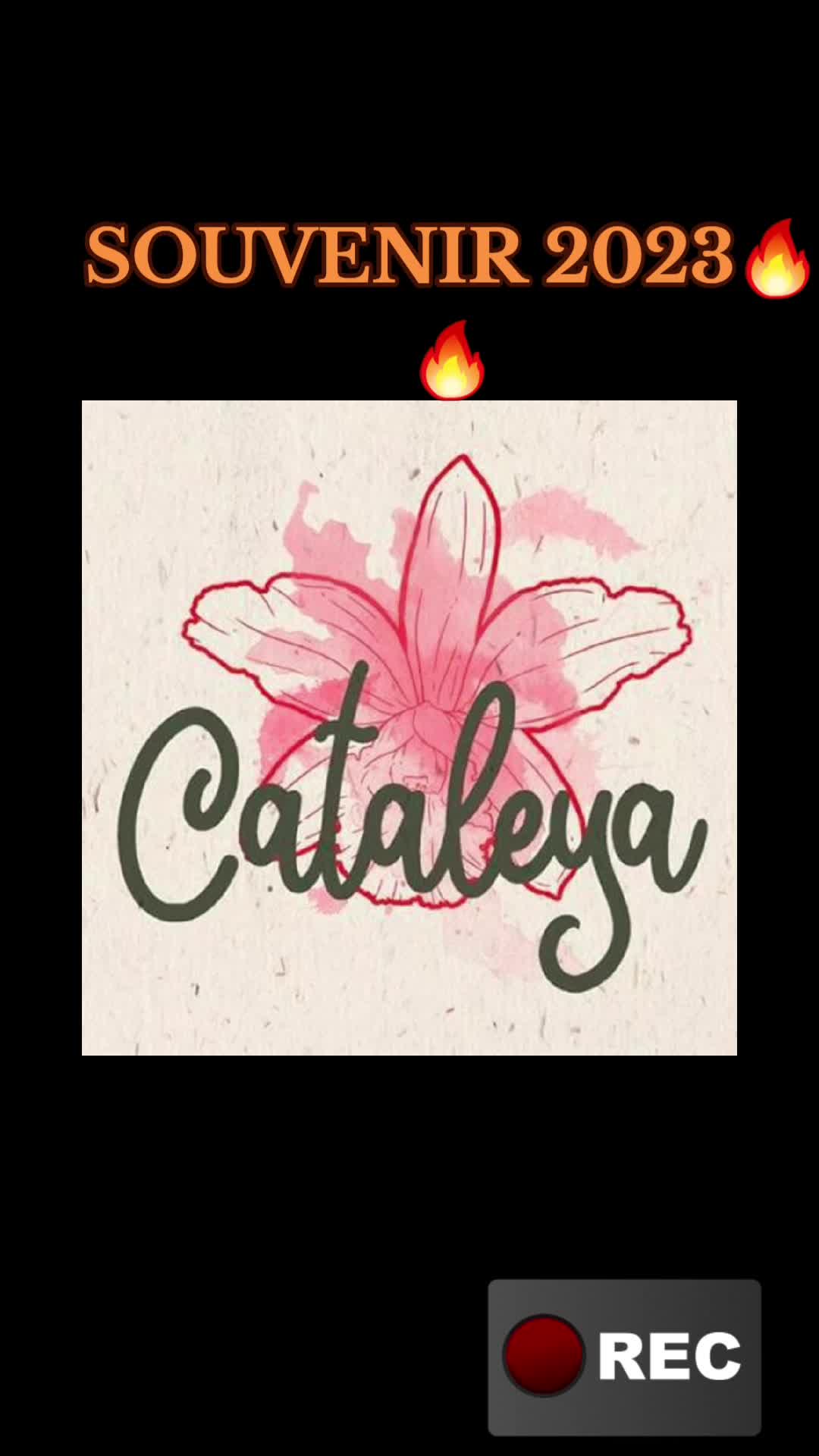 @🌸CATALEYA🌸