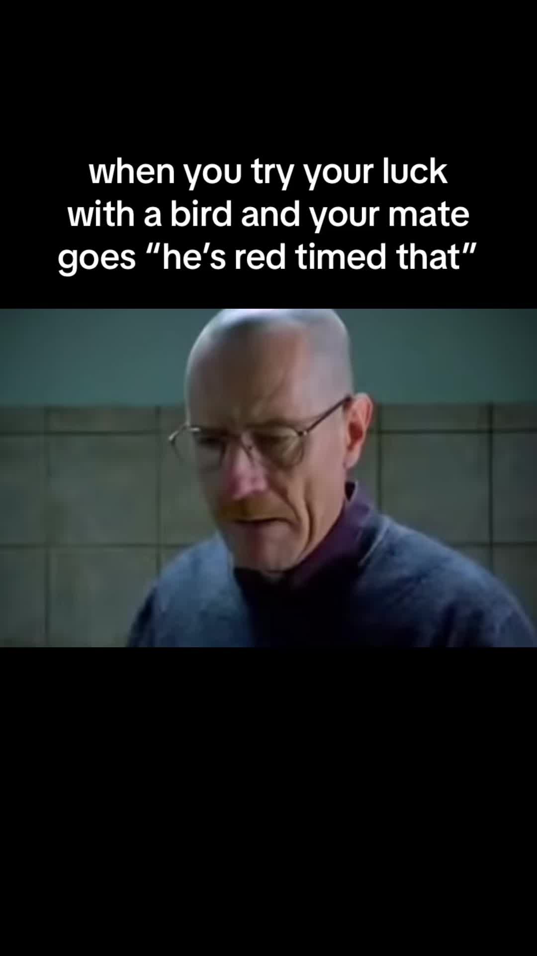 @Kyle The Crane Lover ❤️🏗️