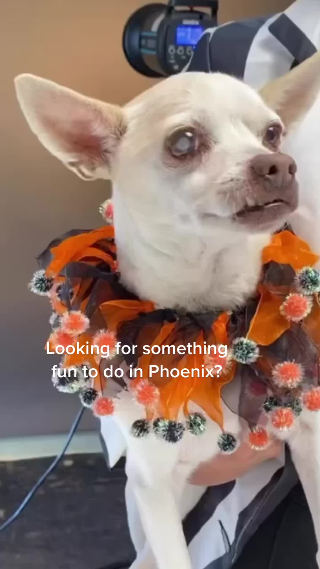 @tarasfostersaz