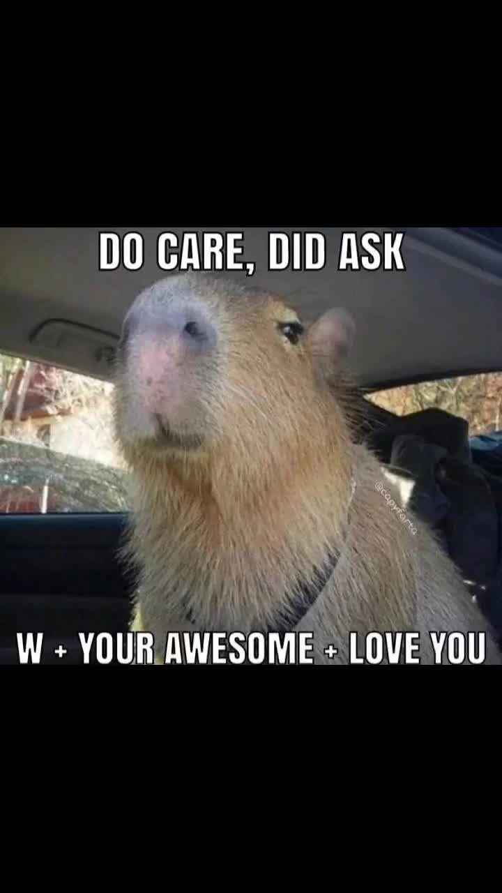 @TheDwarvenKing